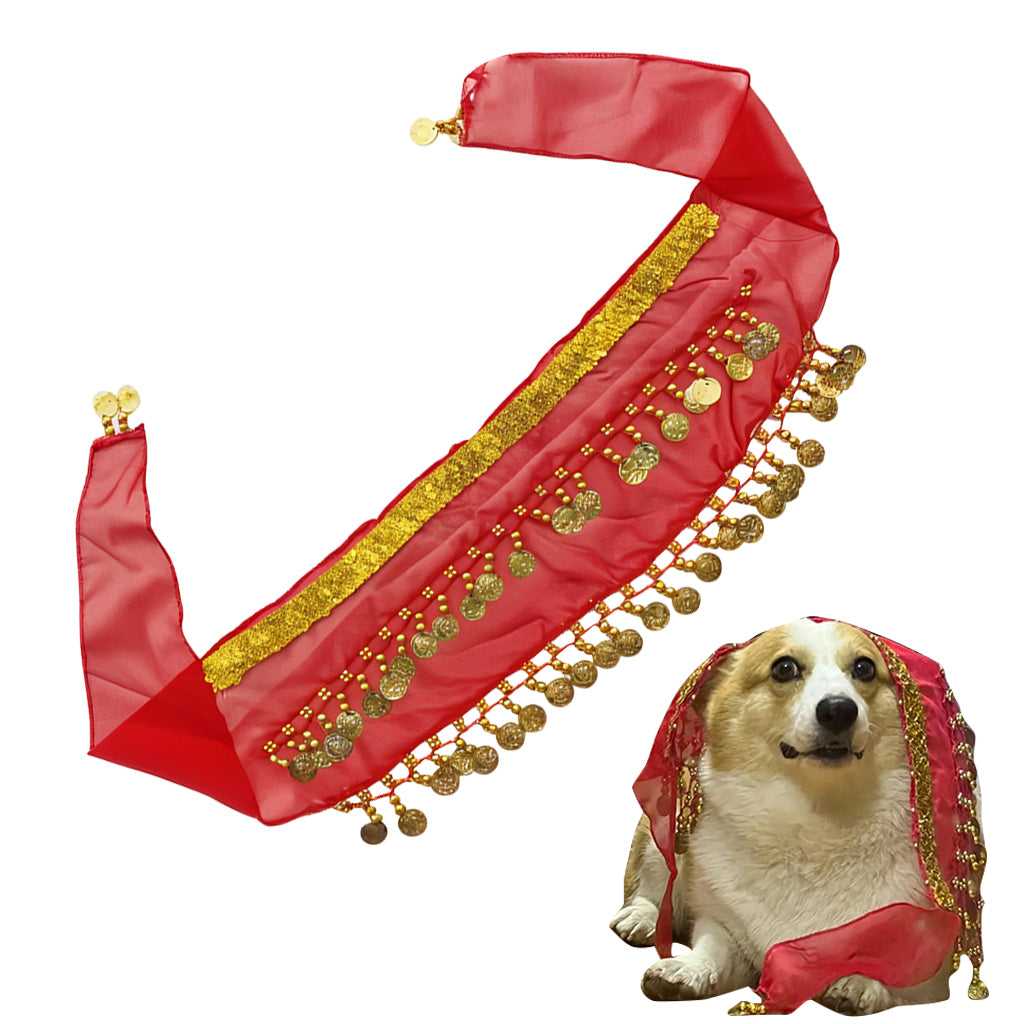 Qpets Dog Skirt, Belly Dancer Skirt for Dogs, Belly Dance Hip Scarf Fun Dog Costume for Party Silver Tassels Coins Sash for Dog Costume Party Prop Qpets Dog Skirt, Belly Dancer Skirt for Dogs, Belly Dance Hip Scarf Fun Dog Costume for Party Silver Tassels Coins Sash for Dog Costume Party Prop